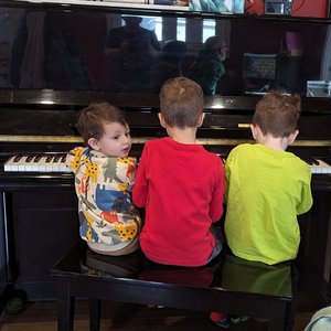 Vultures in the City