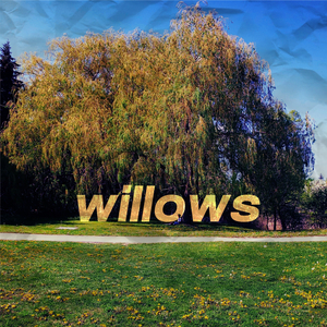 willows