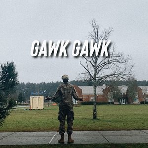 Gawk Gawk