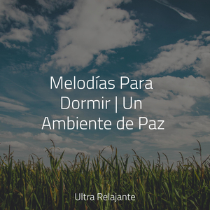 Acurrucarse Y Calmarse