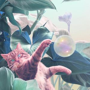 More Than Average Girl