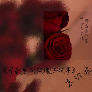 月亮里的玫瑰与故事