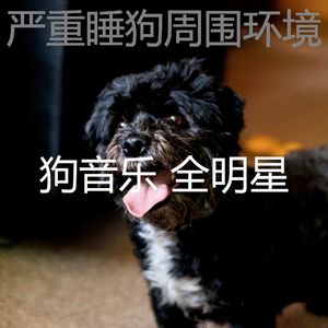 抚慰的训练犬回忆