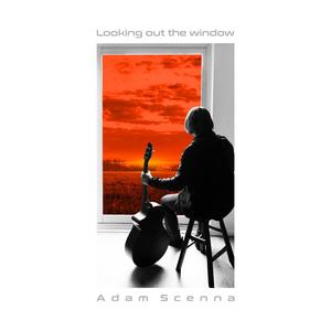 Looking Out The Window