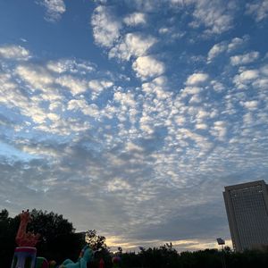 七句情话