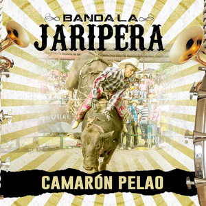 Camarón Pelao