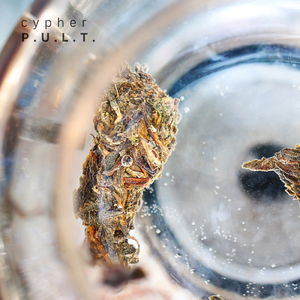 Cypher P.U.L.T.