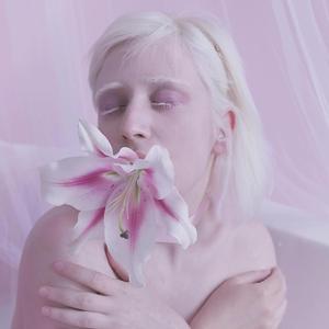 白いバラの輝き