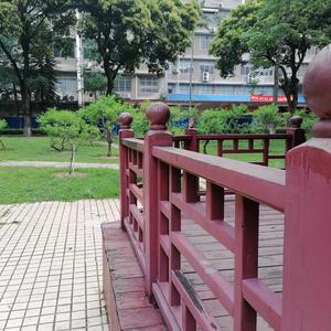 爱在南方（南方医科大学校歌改编）