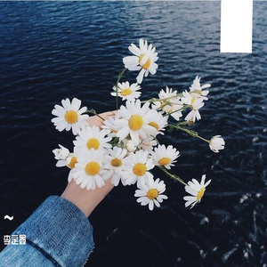 丢了你（翻自 蓝心羽）