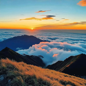 半岛夜未眠