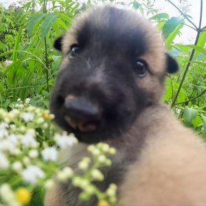 呼吸决定（浪仙）