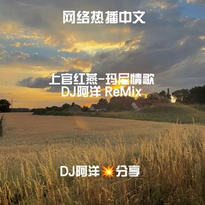 玛尼情歌DJ版（阿洋ReMix)
