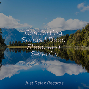 Enveloped in Dewy Shadows