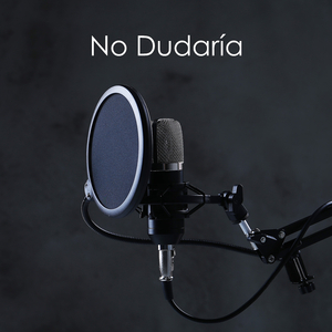 No Dudaría