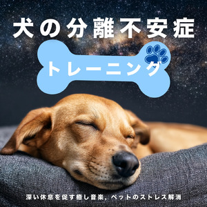 ヒーリング-心のやすらぎ-