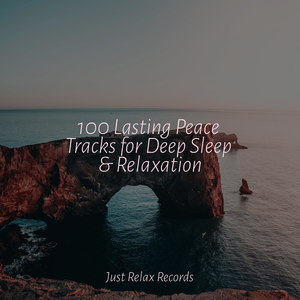 Fading Autumn Mementos