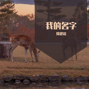 我的名字