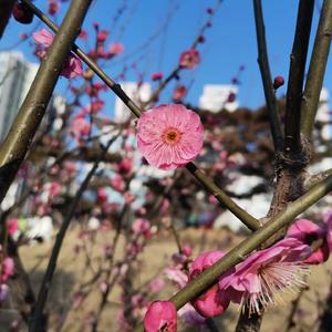 十万毫升泪水（翻唱）