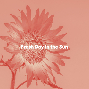 Successful Laid Back Nites