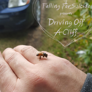 Driving off a Cliff