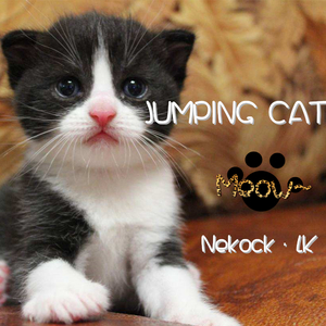 JUMPING CAT