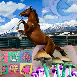 Horses