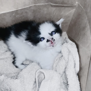 ひとつのイノチ