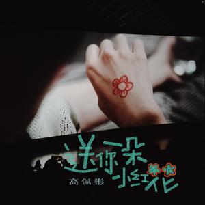 送你一朵小红花(治愈男声)（翻自 赵英俊）