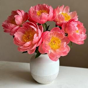 不要对他说 (刘保安 Remix)