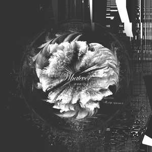 W̸h̴a̵t̶e̸v̵e̸r̷