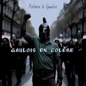 Gaulois en colère