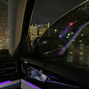 你却拼了命往北走