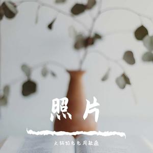 照片（COVER单依纯）（翻自 单依纯）