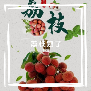 荔枝熟了