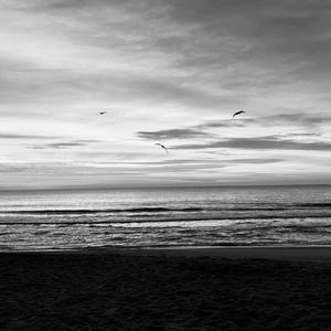 Never Leaving (feat. Bendo)