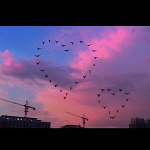 这就是爱吗（翻自 容祖儿）