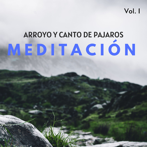 Contemplación Profunda