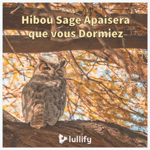 Communication à haut niveau