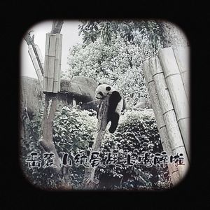 岳麓山纯爱战士喝醉啦