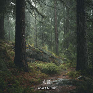 安らぎの雨音リラックスサウンド, Pt.4