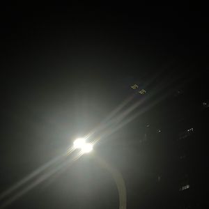 朋友（Trod Daisy Beat）