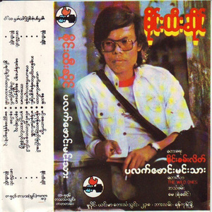 Phwint Hlat Nae Pate Htar Thaw Takhar