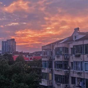 青春不疼痛文学