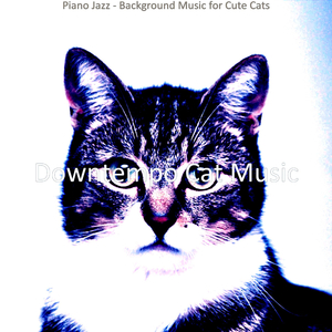 Grand Ambiance for Cats