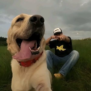 还会不会有自己