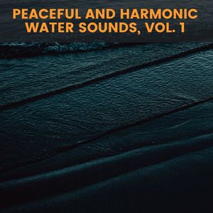 Enlightened New York Oceans