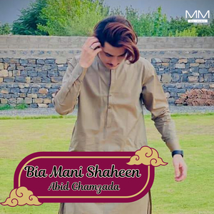 Dasetane diga He jahan Gosh Bidar