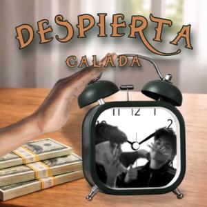 Despierta
