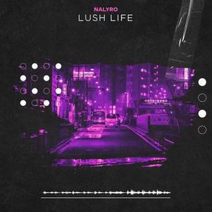 Lush Life (Radio Edit Instrumental)